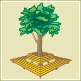 Southern Pine projects