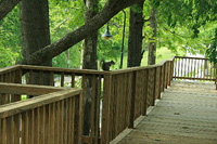 Rome Treehouse