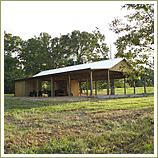 Southern Pine projects