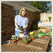 Southern Pine projects