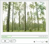 Southern Pine project podcasts